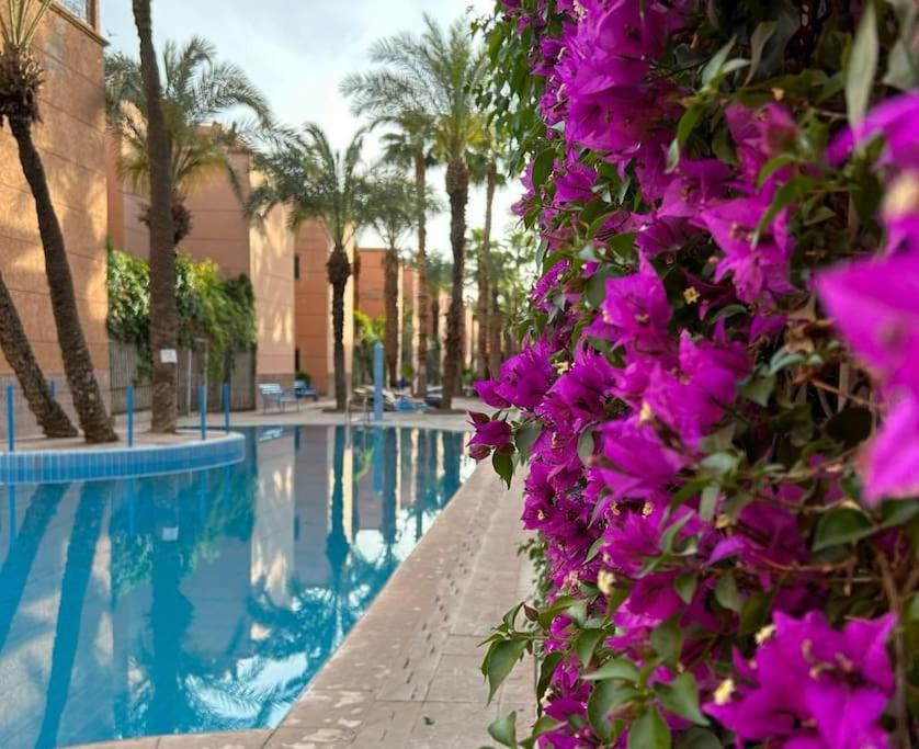 Joli T2 Avec Piscines Appartement Marrakesh